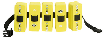Arena Friends Floatation Belt yellow